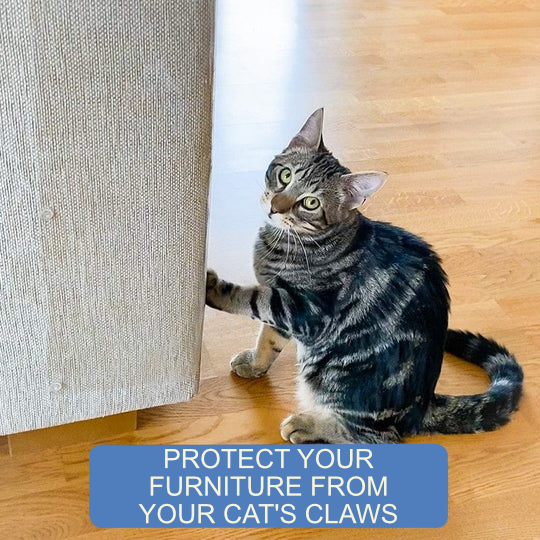 Furniture Scratch Protector